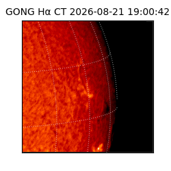 gong - 2026-08-21T19:00:42