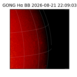 gong - 2026-08-21T22:09:03