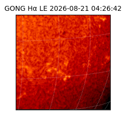 gong - 2026-08-21T04:26:42