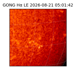 gong - 2026-08-21T05:01:42