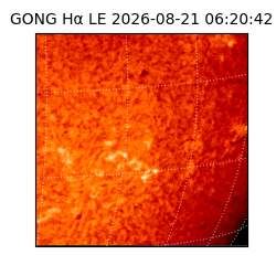gong - 2026-08-21T06:20:42