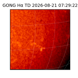 gong - 2026-08-21T07:29:22