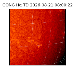 gong - 2026-08-21T08:00:22