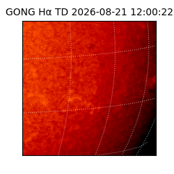 gong - 2026-08-21T12:00:22