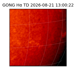 gong - 2026-08-21T13:00:22