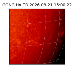 gong - 2026-08-21T15:00:22