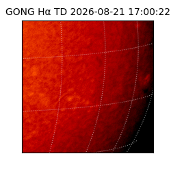gong - 2026-08-21T17:00:22
