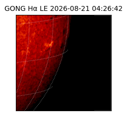 gong - 2026-08-21T04:26:42