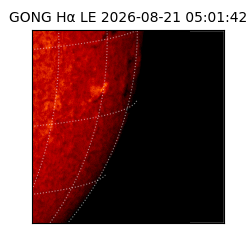 gong - 2026-08-21T05:01:42