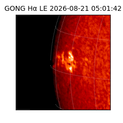 gong - 2026-08-21T05:01:42