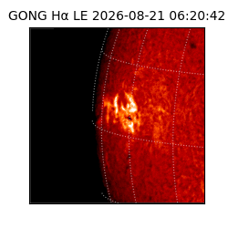 gong - 2026-08-21T06:20:42