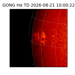 gong - 2026-08-21T10:00:22