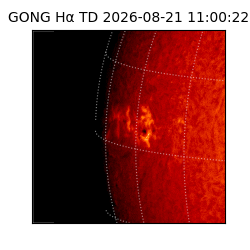 gong - 2026-08-21T11:00:22