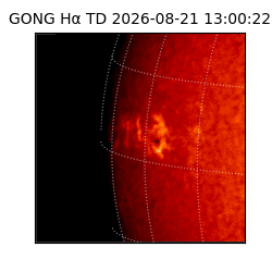 gong - 2026-08-21T13:00:22