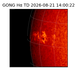 gong - 2026-08-21T14:00:22