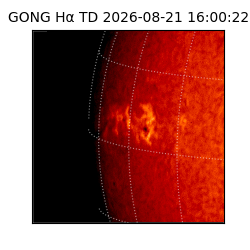 gong - 2026-08-21T16:00:22