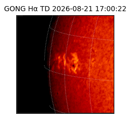 gong - 2026-08-21T17:00:22