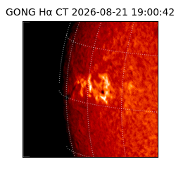 gong - 2026-08-21T19:00:42