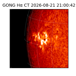 gong - 2026-08-21T21:00:42