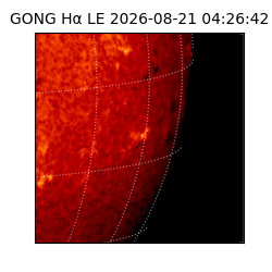 gong - 2026-08-21T04:26:42