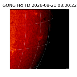 gong - 2026-08-21T08:00:22
