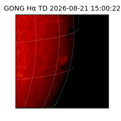 gong - 2026-08-21T15:00:22