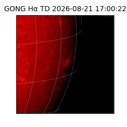 gong - 2026-08-21T17:00:22