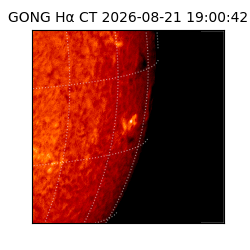 gong - 2026-08-21T19:00:42