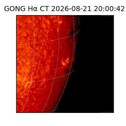 gong - 2026-08-21T20:00:42