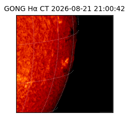 gong - 2026-08-21T21:00:42