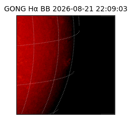 gong - 2026-08-21T22:09:03