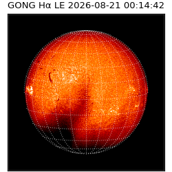 gong - 2026-08-21T00:14:42