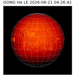 gong - 2026-08-21T04:26:42