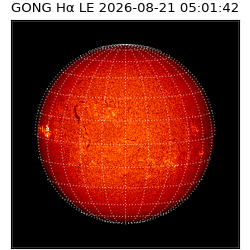 gong - 2026-08-21T05:01:42