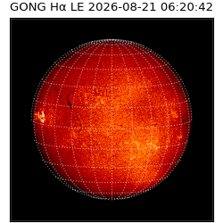 gong - 2026-08-21T06:20:42