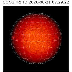 gong - 2026-08-21T07:29:22