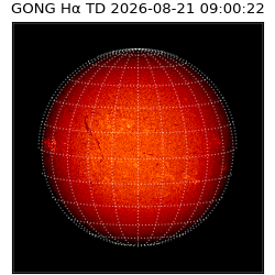 gong - 2026-08-21T09:00:22