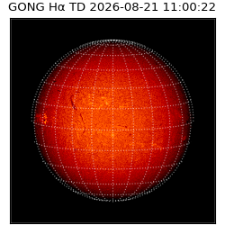gong - 2026-08-21T11:00:22