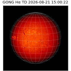 gong - 2026-08-21T15:00:22