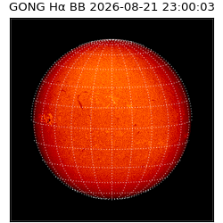 gong - 2026-08-21T23:00:03