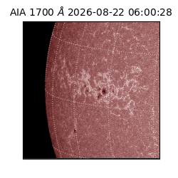saia - 2026-08-22T06:00:28.720000