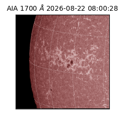 saia - 2026-08-22T08:00:28.723000