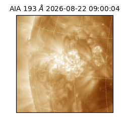 saia - 2026-08-22T09:00:04.842000