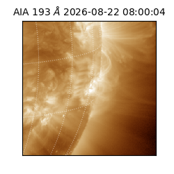 saia - 2026-08-22T08:00:04.845000