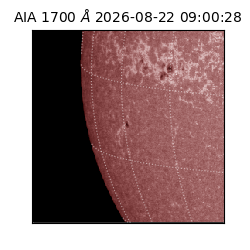 saia - 2026-08-22T09:00:28.717000