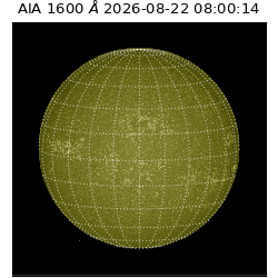 saia - 2026-08-22T08:00:14.123000