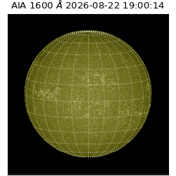 saia - 2026-08-22T19:00:14.123000
