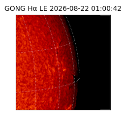 gong - 2026-08-22T01:00:42