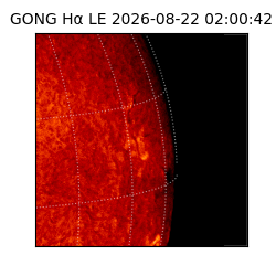 gong - 2026-08-22T02:00:42