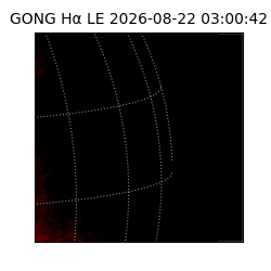 gong - 2026-08-22T03:00:42